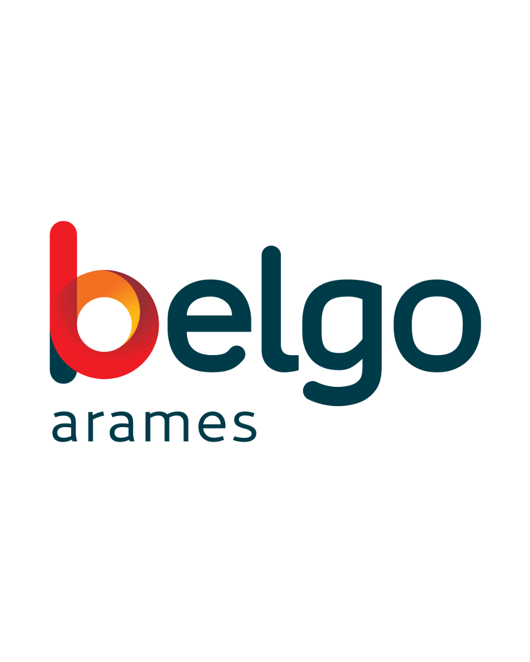 Belgo Bekaert